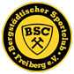 bsc_freiberg.png